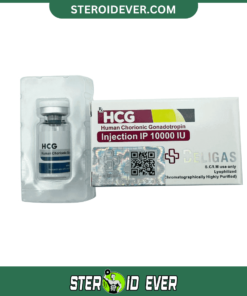 Buy HCG 10000